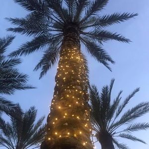 Meet your Posher, Dione